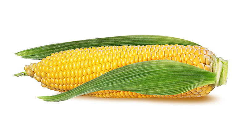 Corn