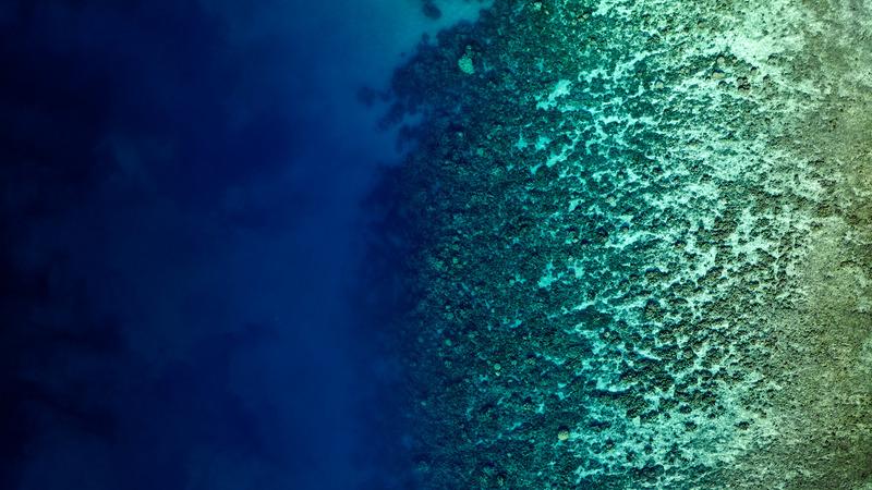 Aerial view looking down of abstract patterns created by tropical barrier reef in the ocean.