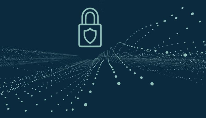 Vaisala system information and security