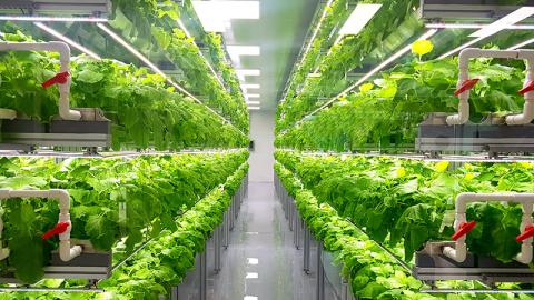 Vertical-Farming-Anlage