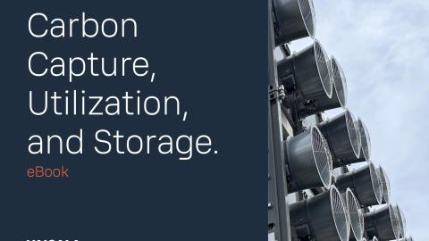 eBook cover: Carbon Capture, Utilization and Storage.