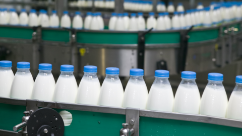 Milch- und Molkereiprodukte gehören weltweit zu den am meisten produzierten und wertvollsten landwirtschaftlichen Gütern