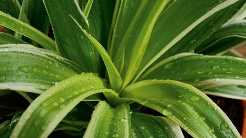 How to Choose the Right Parameter for Humidity Control in HVAC