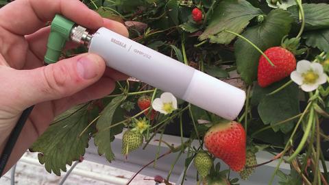 GMP252 CO2-Messonde