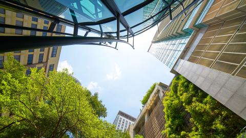 Upwards view of tall buildings 