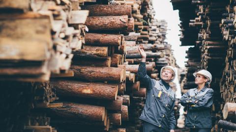 Optimale Bedingungen bei der Holztrocknung im Korkeakoski-Sägewerk
