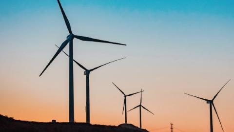 Wind farm