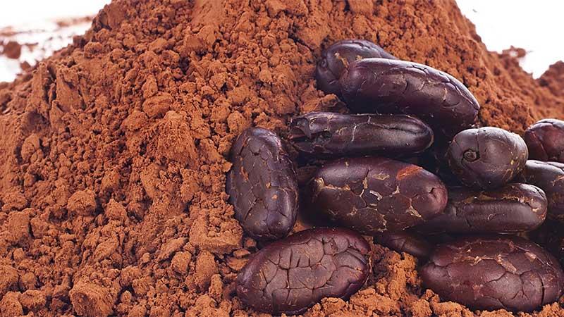 Cocoa powder