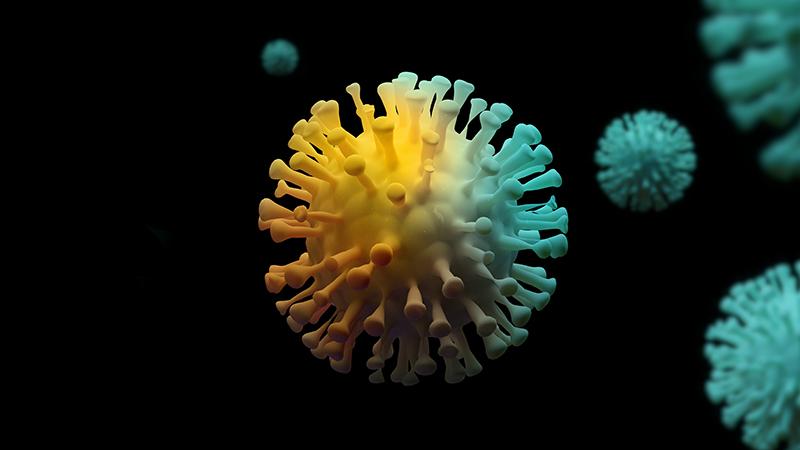 Corona virus