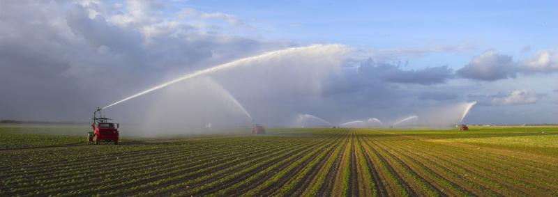 Agricultural irrigation
