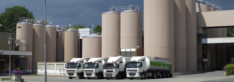 Milk powder plant
