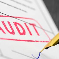Audit Proofing